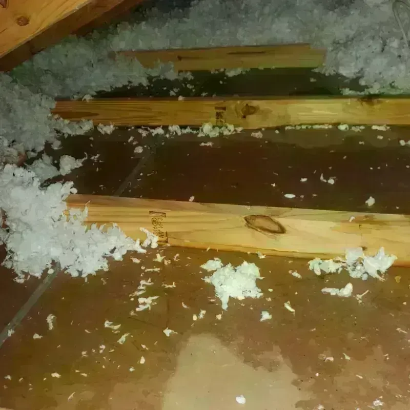 Attic Water Damage in Ravenna, NE